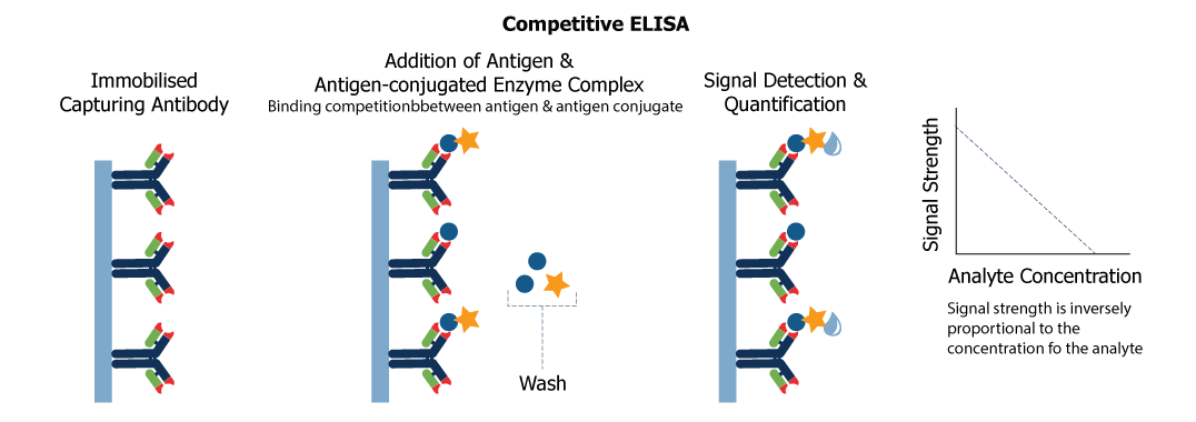 Competitive ELISA