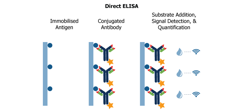 Direct ELISA