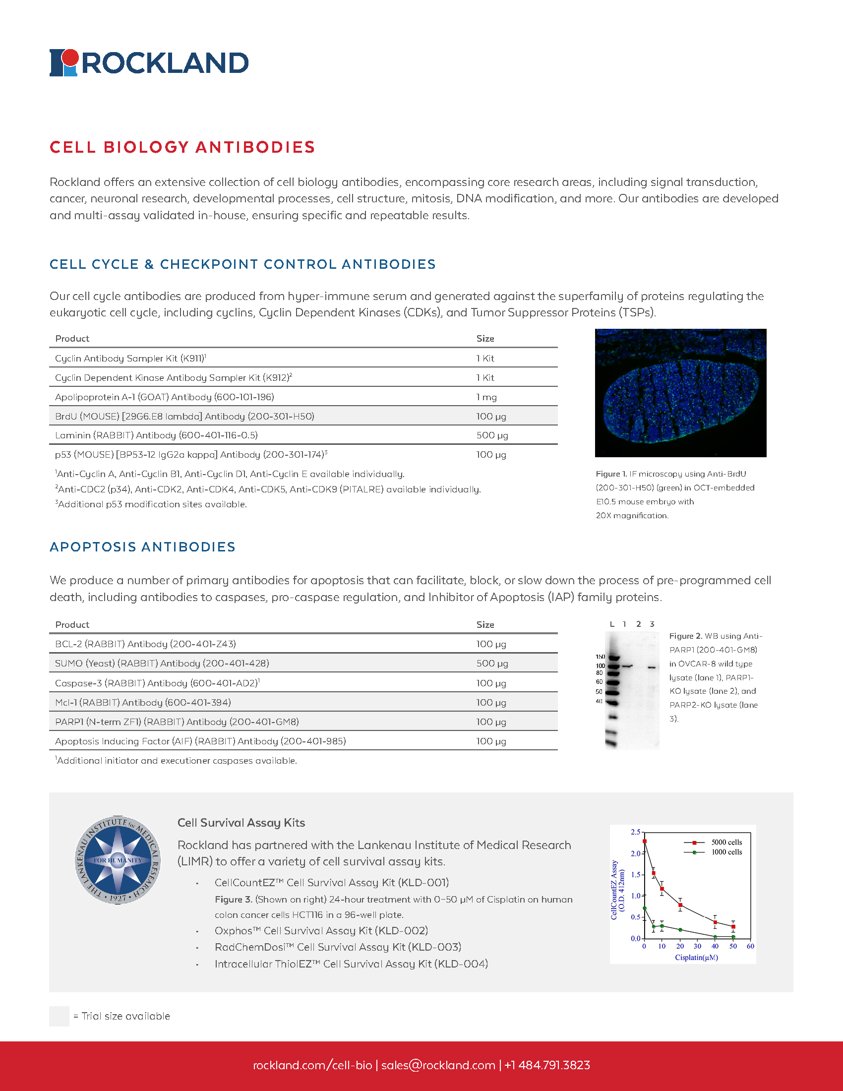 Cell-Biology-Flyer-1.png