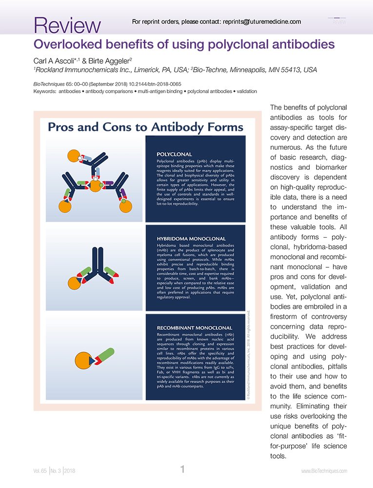 Overlooked Benefits of Using Polyclonal Antibodies