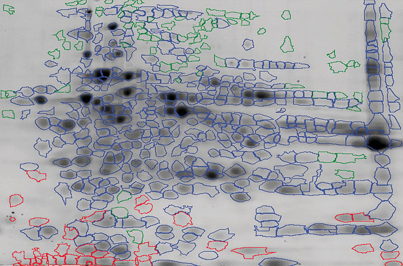 CHO HCP 2D Western Blot Overlay