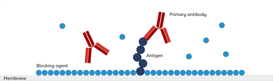 Blocking Buffer Principle