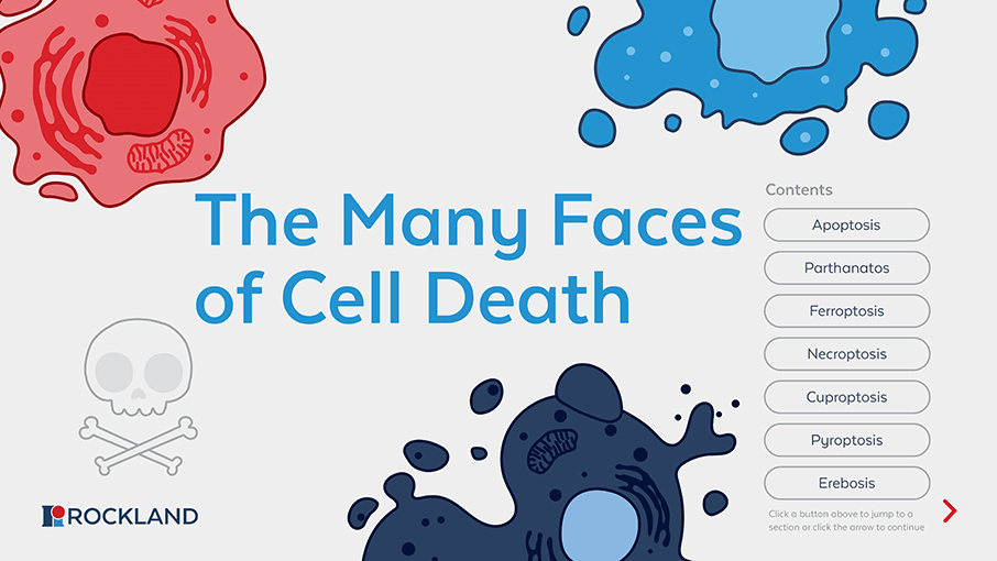 Cell-Death-Ebook.png