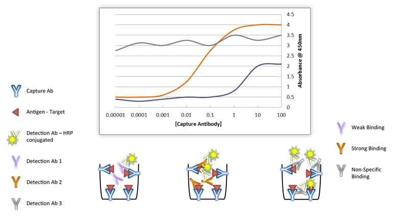 assay binding performance