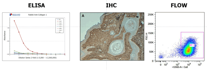 best-assay-for-research.png