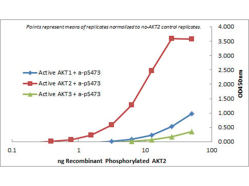 Elisa AKt2 Isoform.jpg