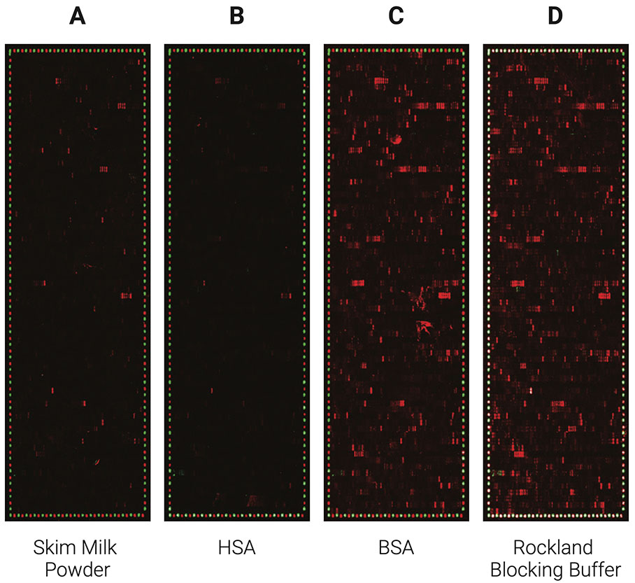 Comparison of the performance of different blocking reagents in epitope mappings with PEPperCHIP® Peptide Microarrays.