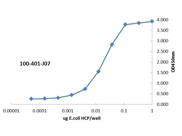 E.coli HCP Antibody (100-401-J07) | Rockland