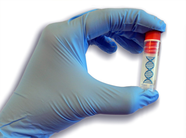 WM165-1 Purified Genomic DNA