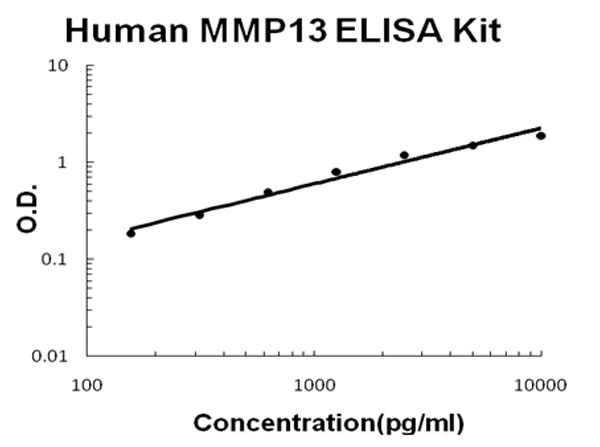 Human MMP13 ELISA Kit