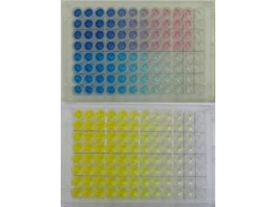 TMB Prestained Red ELISA Peroxidase Substrate